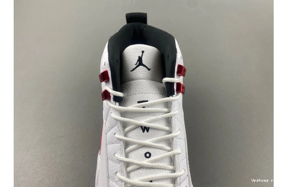 CT8013-106 “Twist” Jordan CT8013-106  12 Air 0606